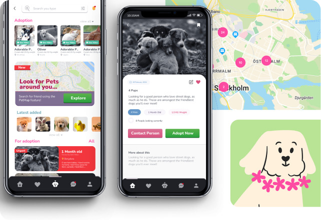 Paw in Hand mobile app and brand design